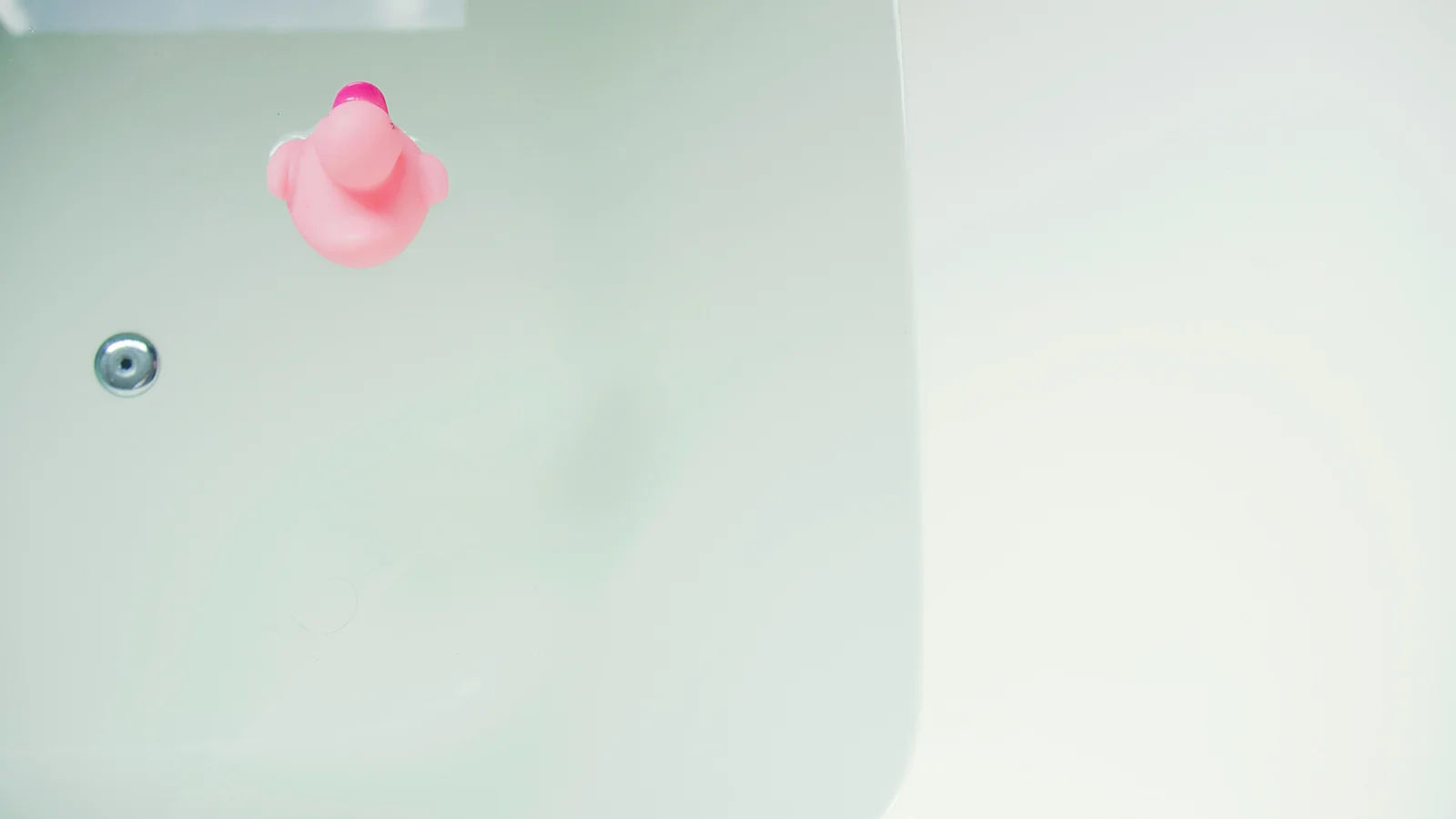 湯船に浮いているアヒル